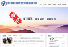 新兴镇城市开发投资集团有限公司