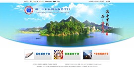 新兴镇科技创新服务平台