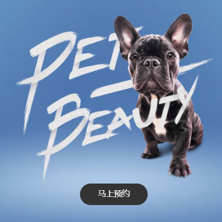 新兴镇宠物中心小程序开发